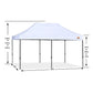 20 ft x 10 ft White Canopy Tent